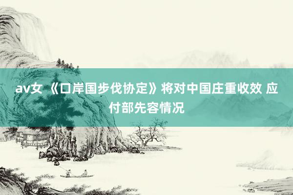 av女 《口岸国步伐协定》将对中国庄重收效 应付部先容情况