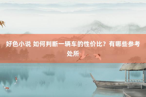 好色小说 如何判断一辆车的性价比？有哪些参考处所