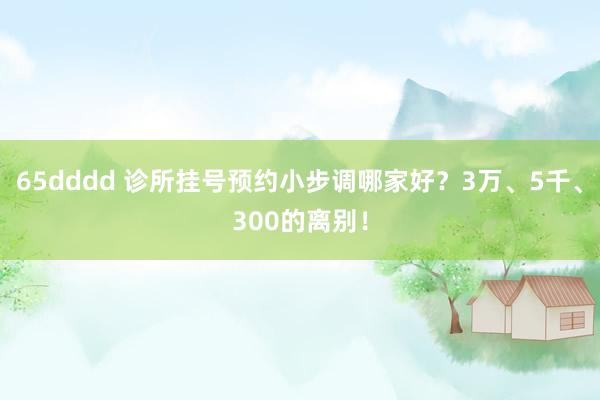 65dddd 诊所挂号预约小步调哪家好？3万、5千、300的离别！