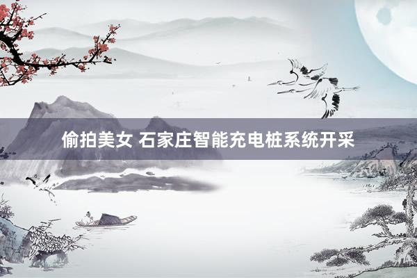 偷拍美女 石家庄智能充电桩系统开采