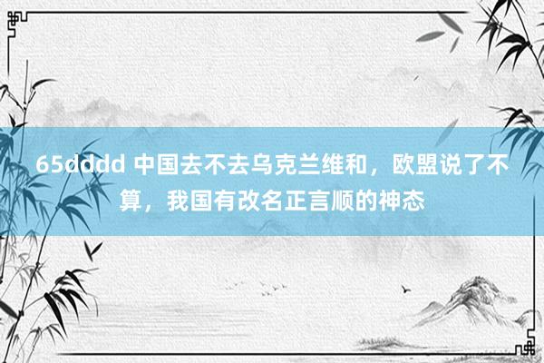 65dddd 中国去不去乌克兰维和，欧盟说了不算，我国有改名正言顺的神态