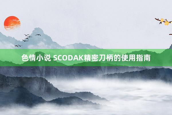 色情小说 SCODAK精密刀柄的使用指南