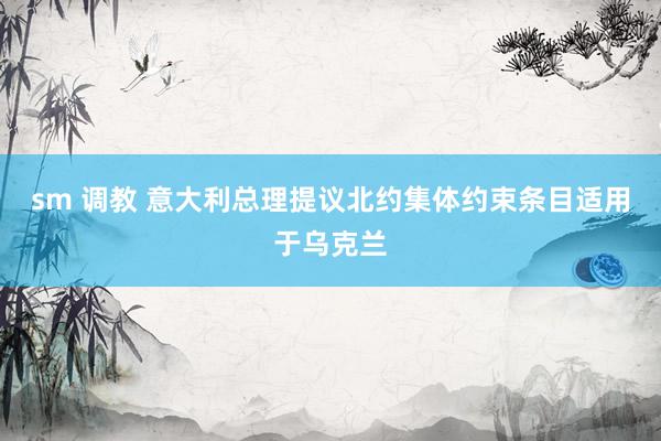 sm 调教 意大利总理提议北约集体约束条目适用于乌克兰