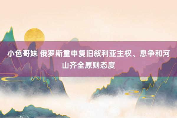小色哥妹 俄罗斯重申复旧叙利亚主权、息争和河山齐全原则态度