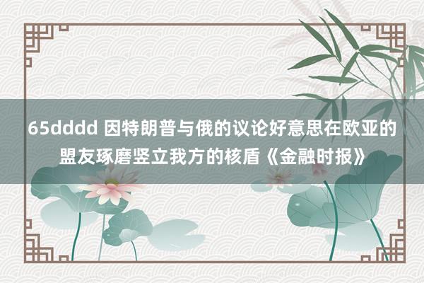 65dddd 因特朗普与俄的议论好意思在欧亚的盟友琢磨竖立我方的核盾《金融时报》