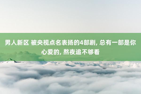 男人新区 被央视点名表扬的4部剧, 总有一部是你心爱的, 熬夜追不够看