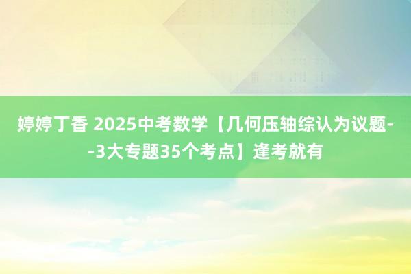 婷婷丁香 2025中考数学【几何压轴综认为议题--3大专题35个考点】逢考就有