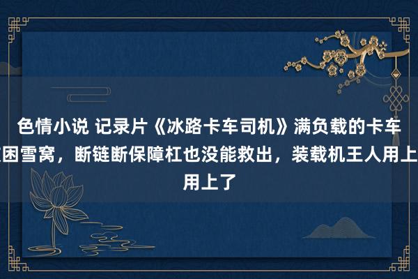 色情小说 记录片《冰路卡车司机》满负载的卡车被困雪窝，断链断保障杠也没能救出，装载机王人用上了