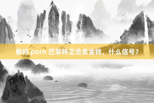 偷拍 porn 巴菲特正洽卖金钱，什么信号？